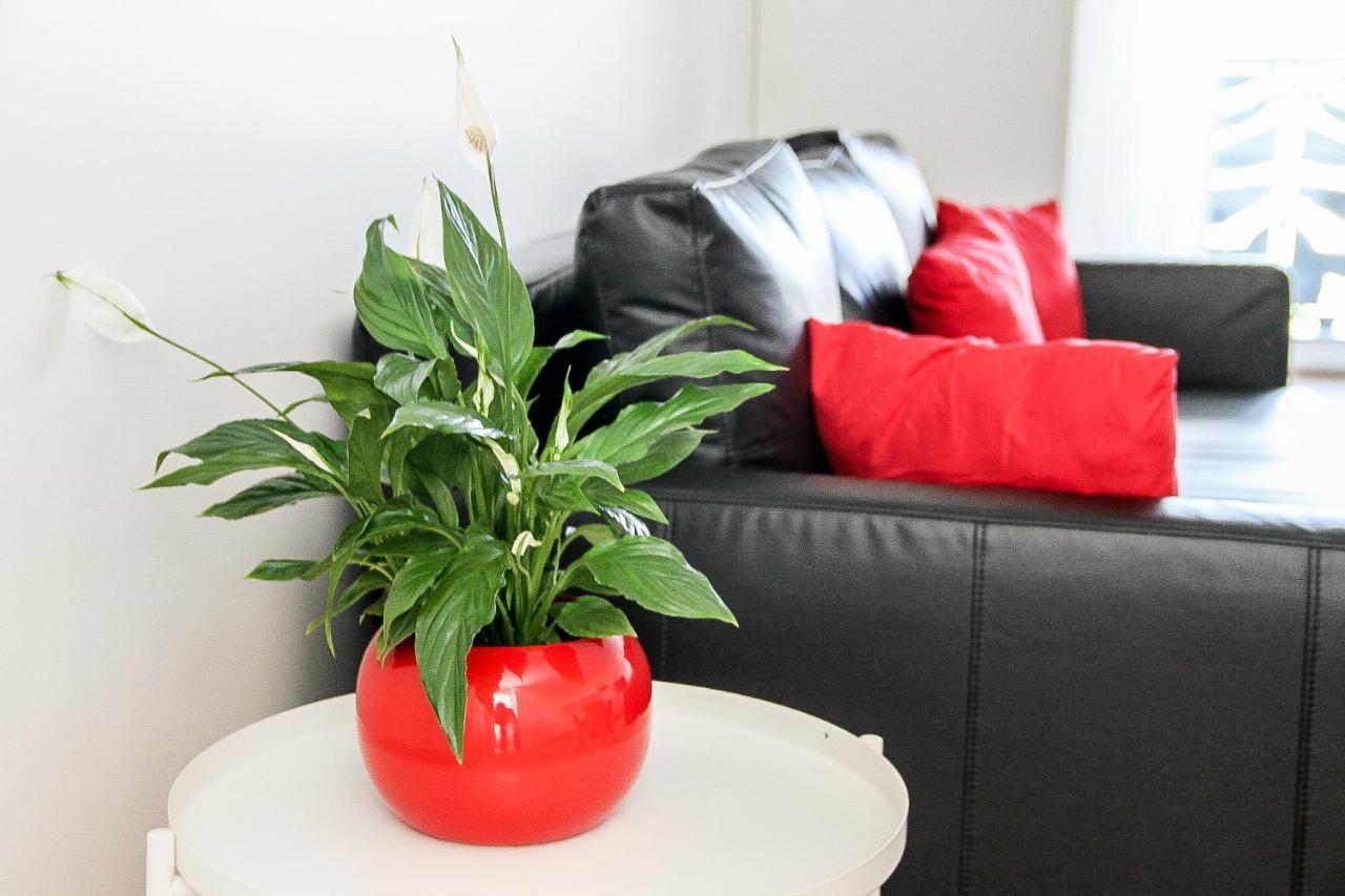 Grand T1 Moderne Jardin Pres De Cdg Apartment Le Thillay Екстериор снимка